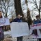 Protestul copiilor, şi pe Facebook, şi în parc! copii si copaci 1