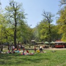 picnic_soare